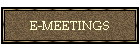 E-MEETINGS